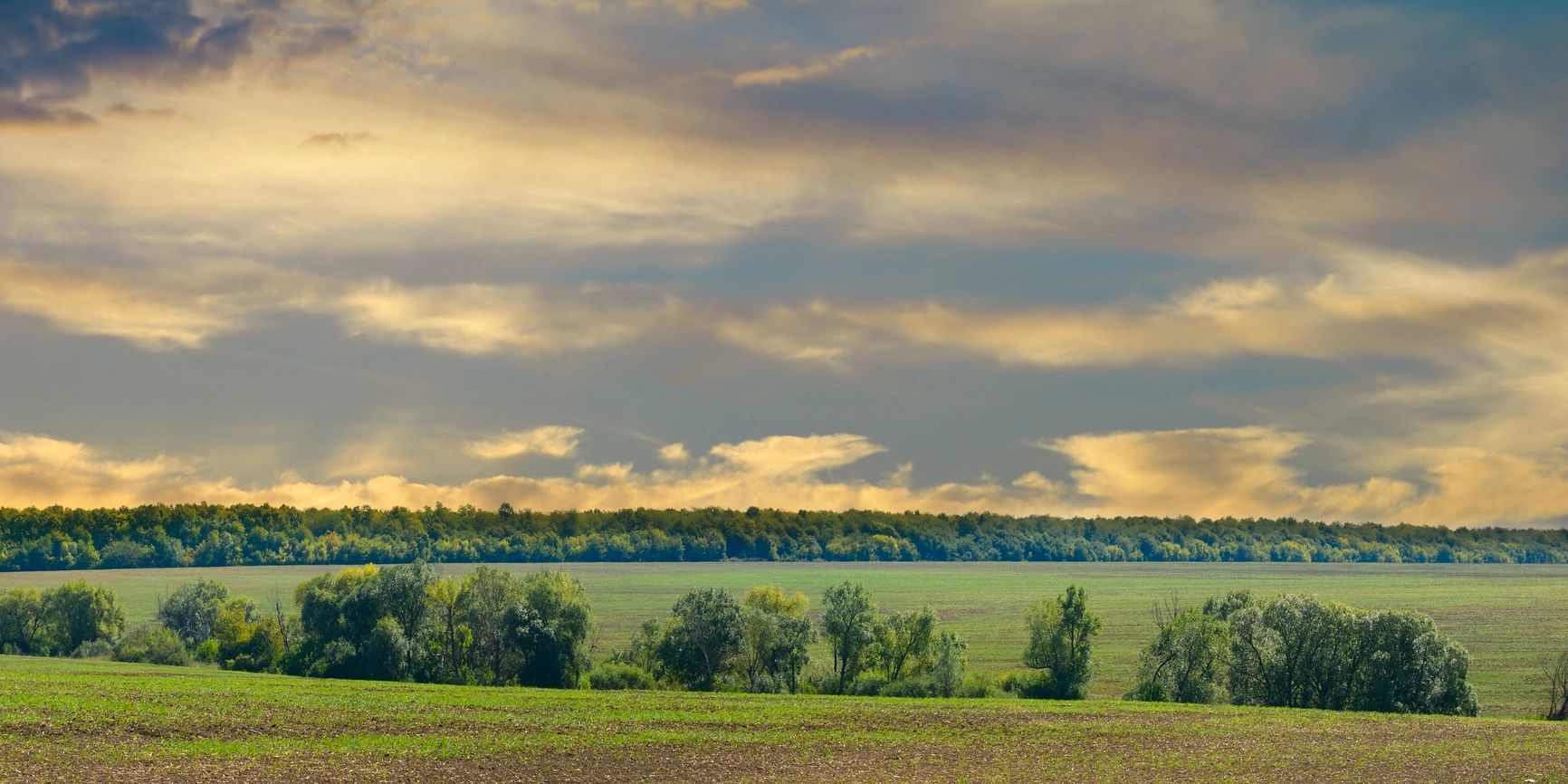 Home harvested fields and meadows landscape . wavy country scenery at autumn sunset.